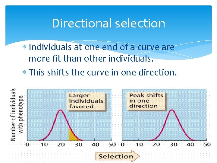 Directional selection Individuals at one end of a curve are more fit than other