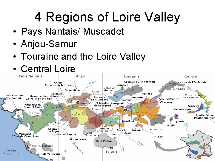 4 Regions of Loire Valley • • Pays Nantais/ Muscadet Anjou-Samur Touraine and the