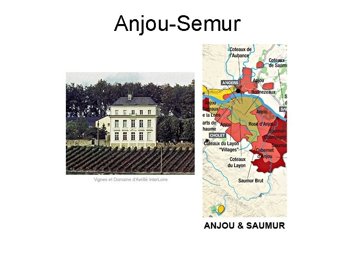 Anjou-Semur 
