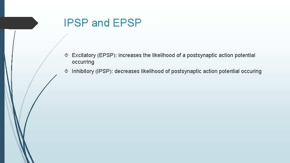 IPSP and EPSP Excitatory (EPSP): increases the likelihood of a postsynaptic action potential occurring