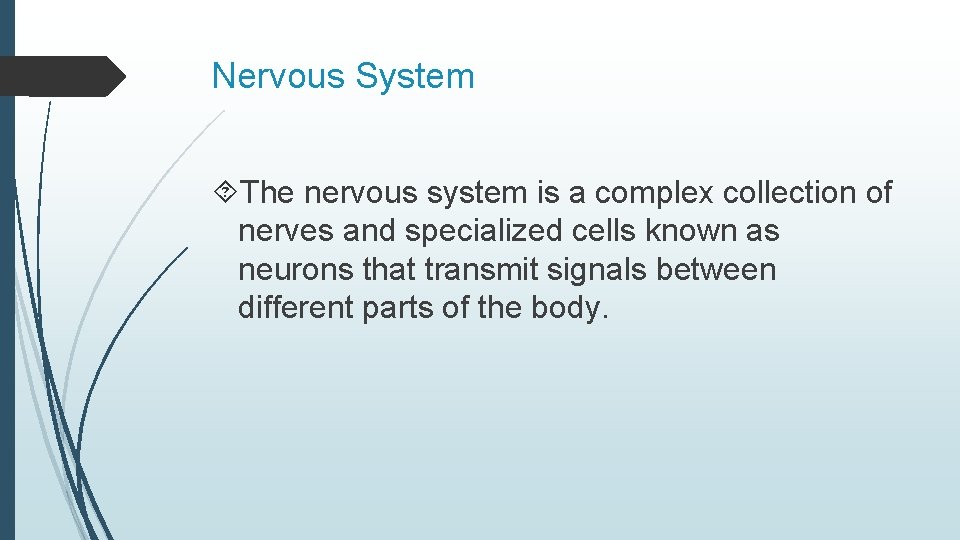 Nervous System The nervous system is a complex collection of nerves and specialized cells