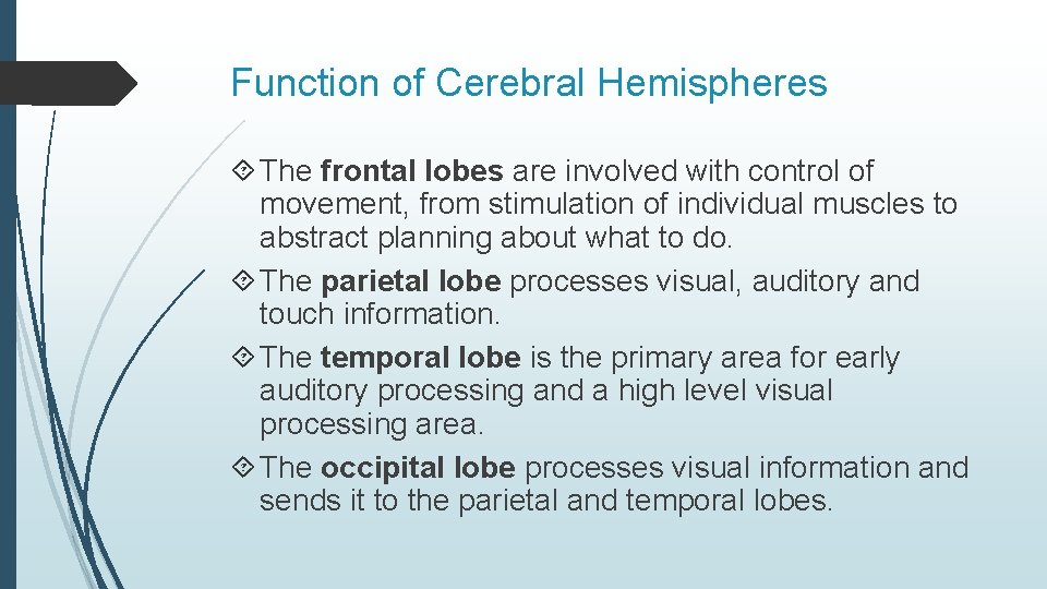 Function of Cerebral Hemispheres The frontal lobes are involved with control of movement, from