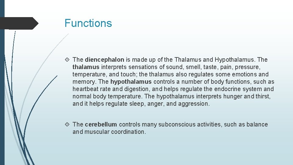 Functions The diencephalon is made up of the Thalamus and Hypothalamus. The thalamus interprets