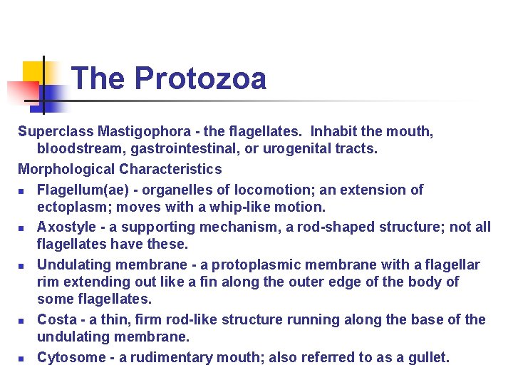 The Protozoa Superclass Mastigophora - the flagellates. Inhabit the mouth, bloodstream, gastrointestinal, or urogenital