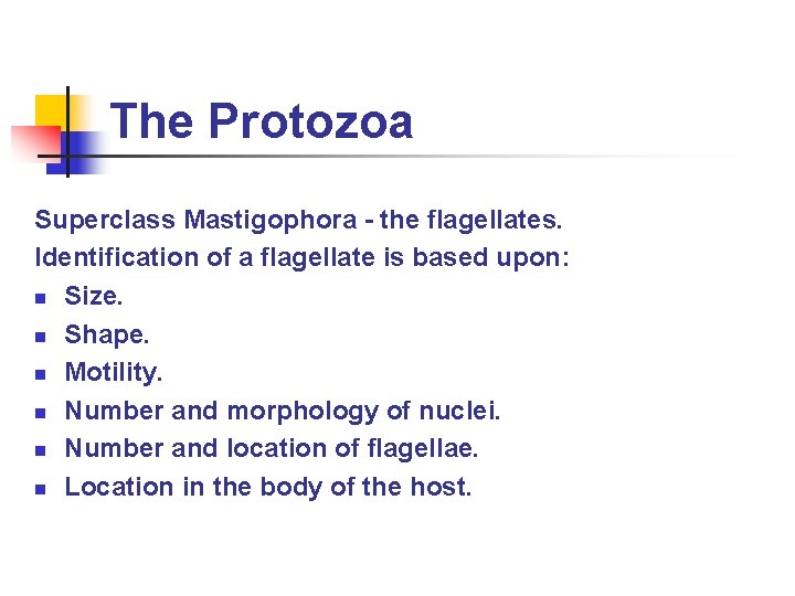 The Protozoa Superclass Mastigophora - the flagellates. Identification of a flagellate is based upon: