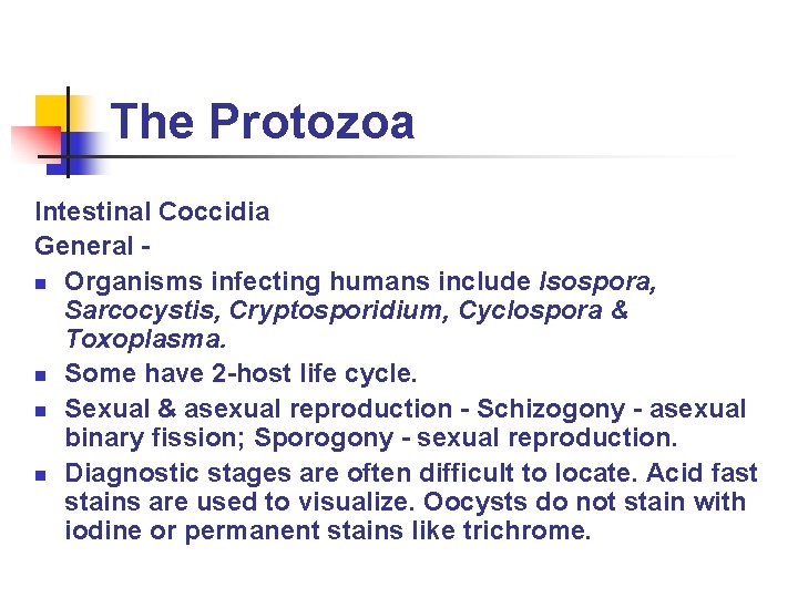 The Protozoa Intestinal Coccidia General n Organisms infecting humans include Isospora, Sarcocystis, Cryptosporidium, Cyclospora