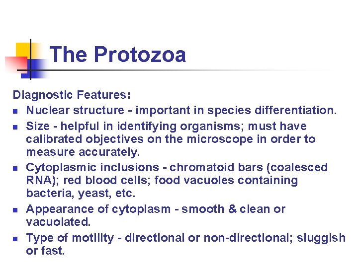 The Protozoa Diagnostic Features: n Nuclear structure - important in species differentiation. n Size