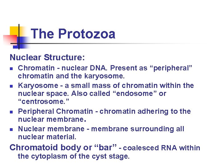 The Protozoa Nuclear Structure: n n Chromatin - nuclear DNA. Present as “peripheral” chromatin The Protozoa Nuclear Structure: n n Chromatin - nuclear DNA. Present as “peripheral” chromatin