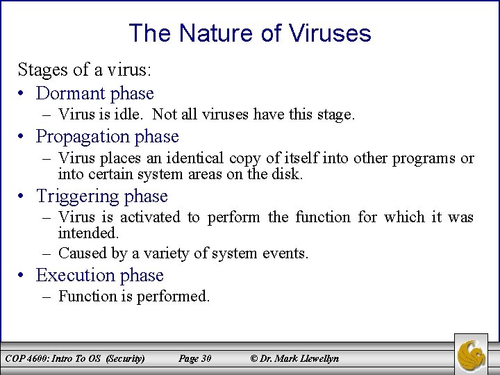 The Nature of Viruses Stages of a virus: • Dormant phase – Virus is