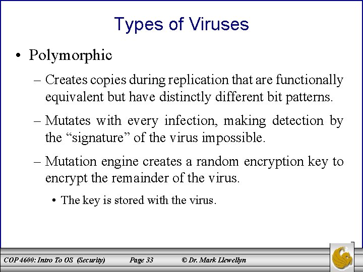 Types of Viruses • Polymorphic – Creates copies during replication that are functionally equivalent