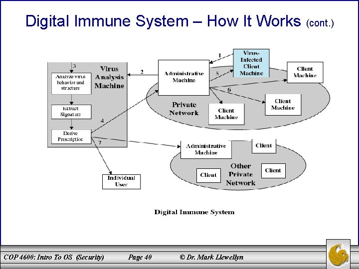 Digital Immune System – How It Works (cont. ) COP 4600: Intro To OS