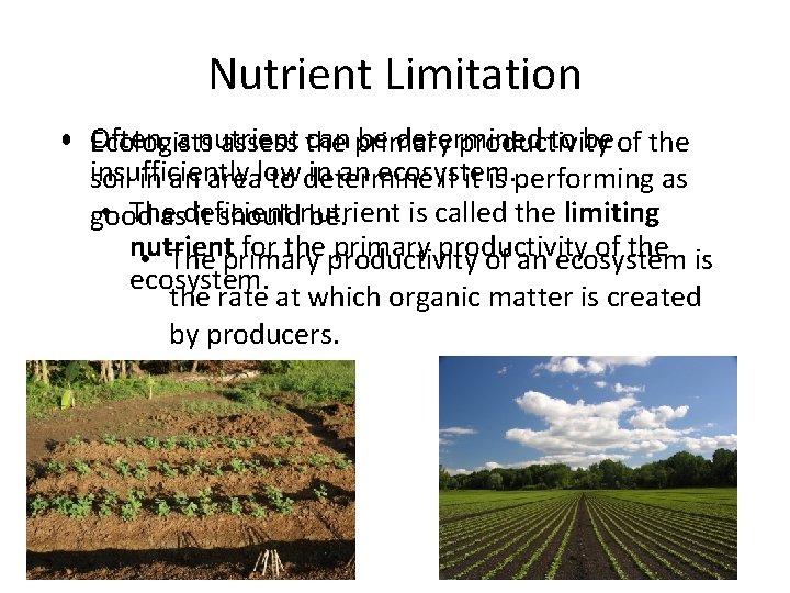 Nutrient Limitation • Often, a nutrient can primary be determined to be of the
