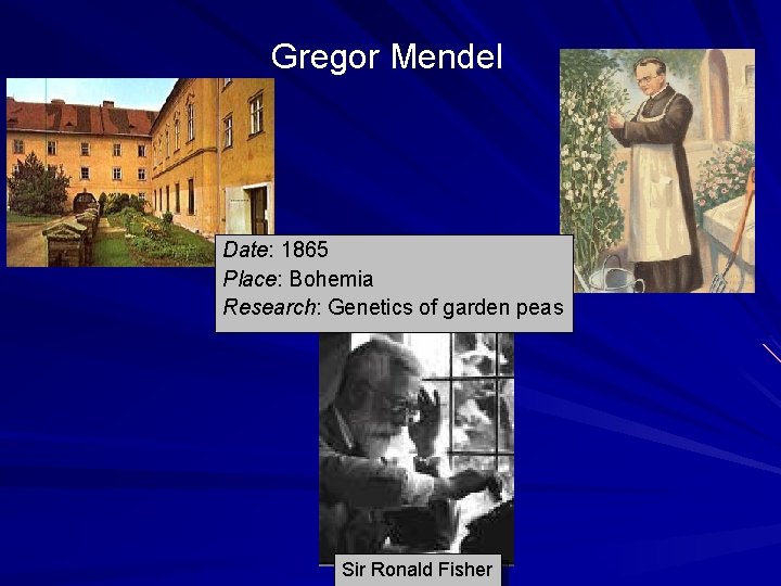 Gregor Mendel Date: 1865 Place: Bohemia Research: Genetics of garden peas Sir Ronald Fisher Gregor Mendel Date: 1865 Place: Bohemia Research: Genetics of garden peas Sir Ronald Fisher