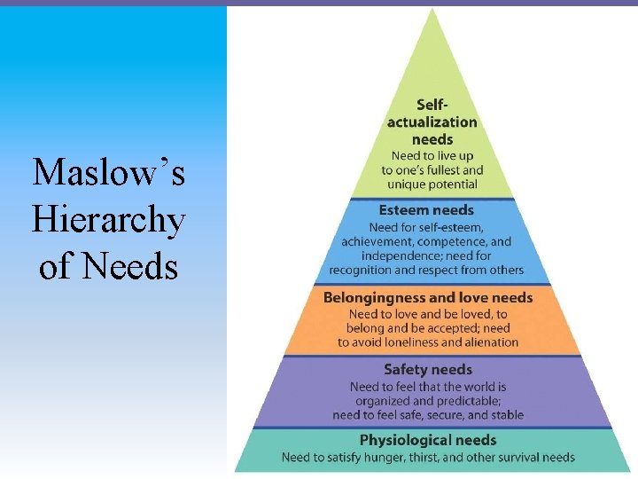 Maslow’s Hierarchy of Needs 