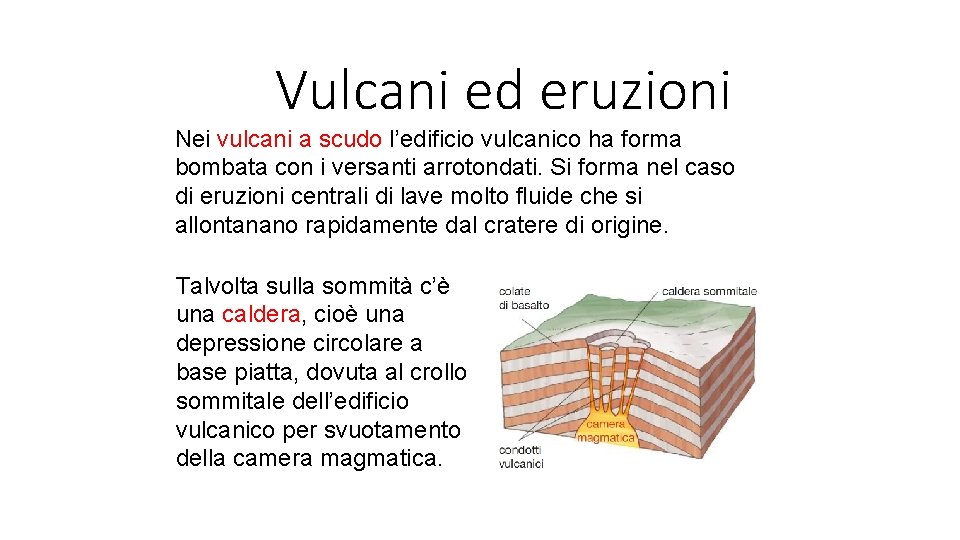 Vulcani ed eruzioni Nei vulcani a scudo l’edificio vulcanico ha forma bombata con i