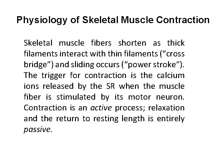 Physiology of Skeletal Muscle Contraction Skeletal muscle fibers shorten as thick filaments interact with