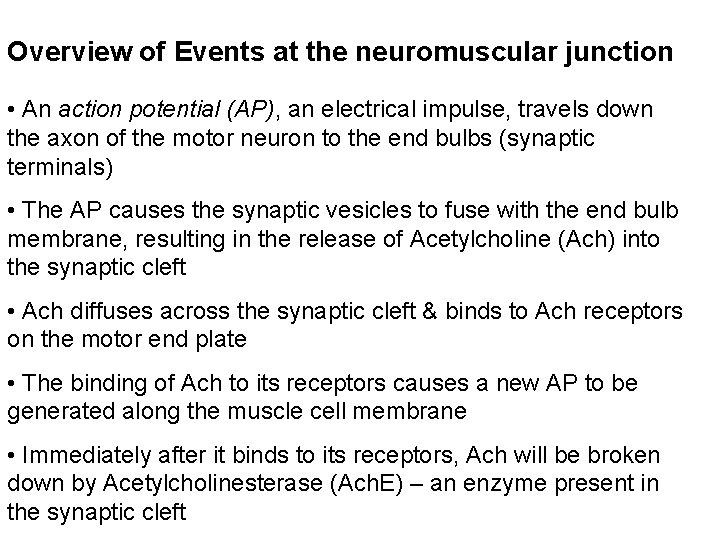 Overview of Events at the neuromuscular junction • An action potential (AP), an electrical