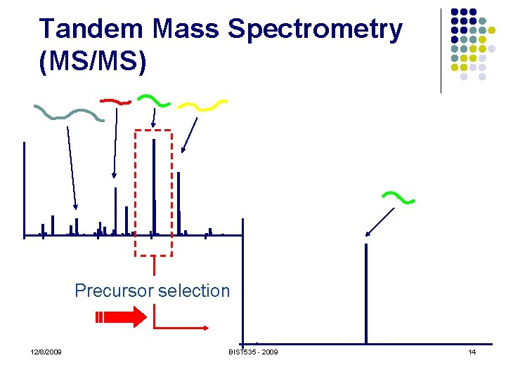 Tandem Mass Spectrometry (MS/MS) Precursor selection 12/8/2009 BIST 535 - 2009 14 