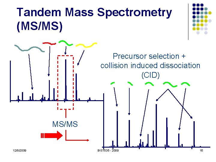 Tandem Mass Spectrometry (MS/MS) Precursor selection + collision induced dissociation (CID) MS/MS 12/8/2009 BIST