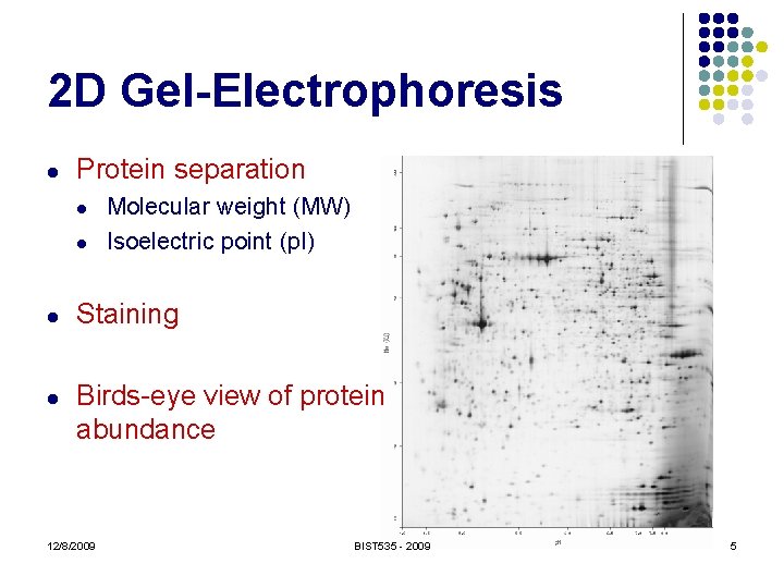 2 D Gel-Electrophoresis l Protein separation l l Molecular weight (MW) Isoelectric point (p.