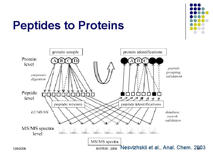 Peptides to Proteins 12/8/2009 BIST 535 - 2009 Nesvizhskii et al. , Anal. Chem.