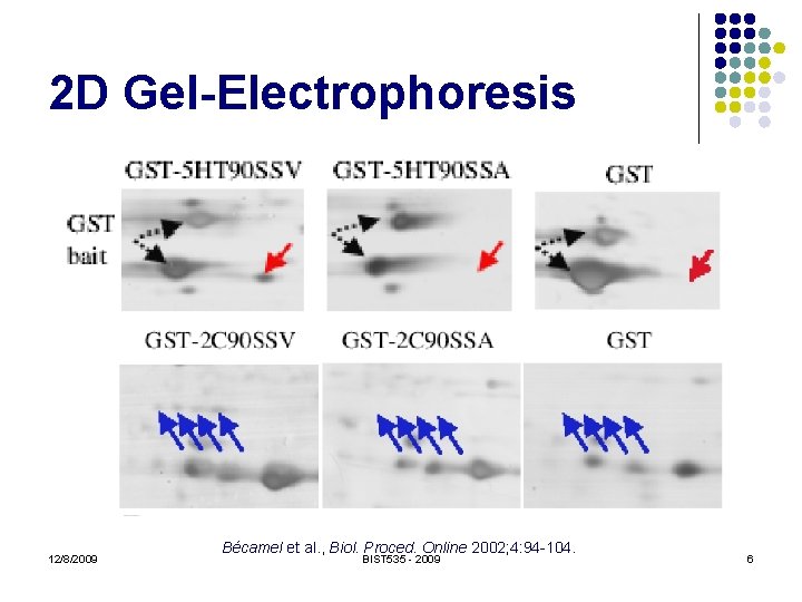 2 D Gel-Electrophoresis 12/8/2009 Bécamel et al. , Biol. Proced. Online 2002; 4: 94