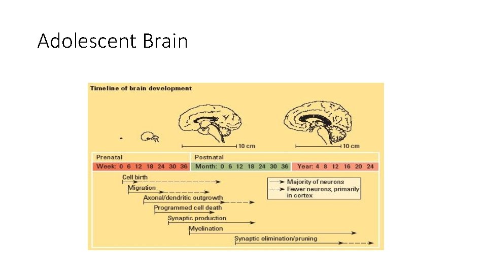 Development as a Changing Force EQ How do