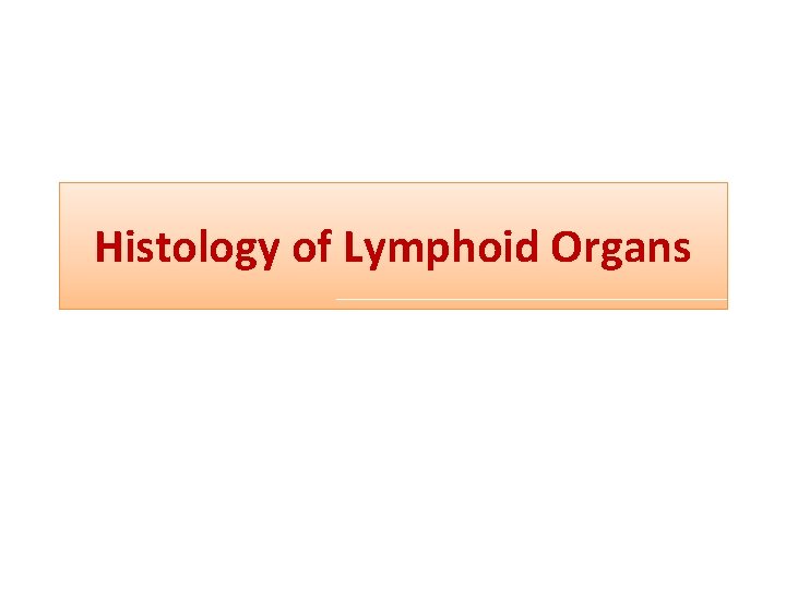 Histology of Lymphoid Organs 