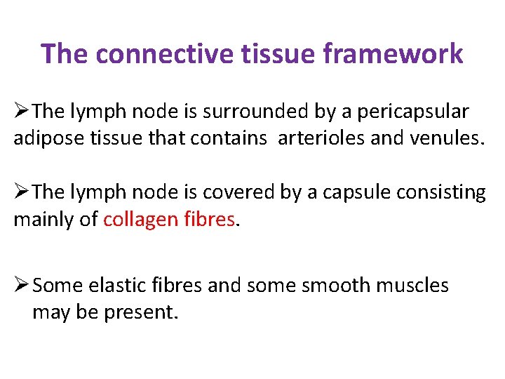 The connective tissue framework The lymph node is surrounded by a pericapsular adipose tissue