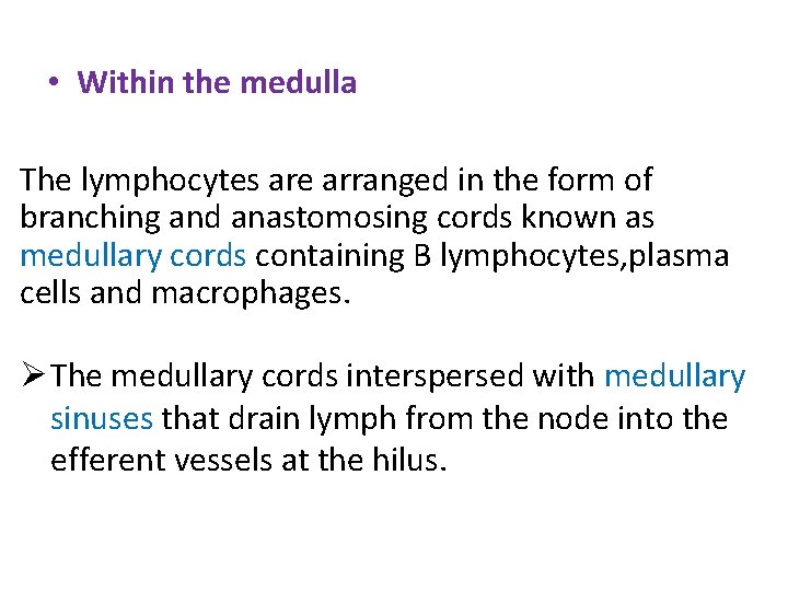  • Within the medulla The lymphocytes are arranged in the form of branching