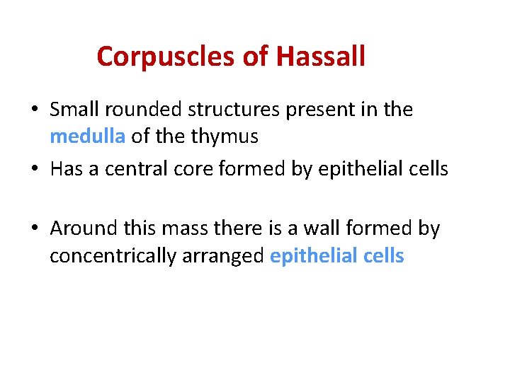 Corpuscles of Hassall • Small rounded structures present in the medulla of the thymus