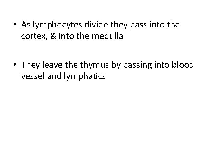  • As lymphocytes divide they pass into the cortex, & into the medulla