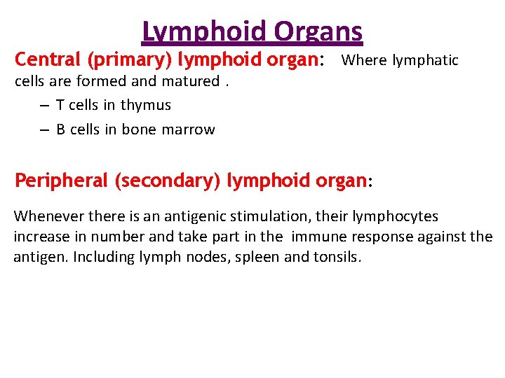 Lymphoid Organs Central (primary) lymphoid organ: Where lymphatic cells are formed and matured. –