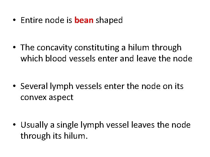  • Entire node is bean shaped • The concavity constituting a hilum through
