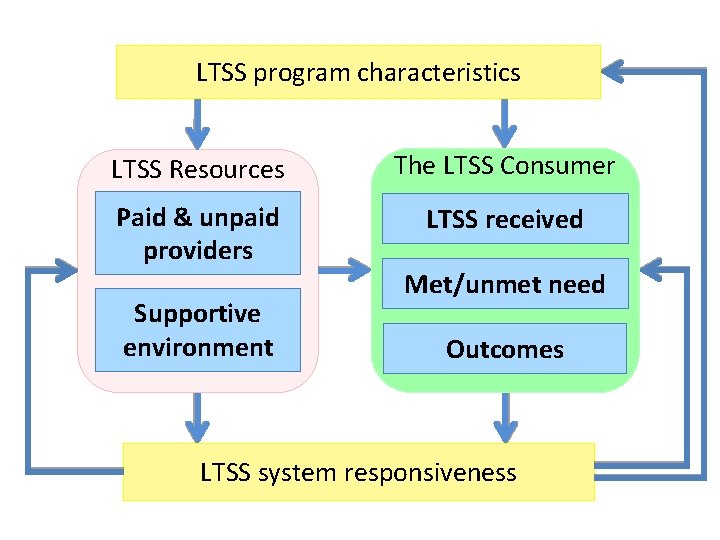 LTSS program characteristics LTSS Resources The LTSS Consumer Paid & unpaid providers LTSS received