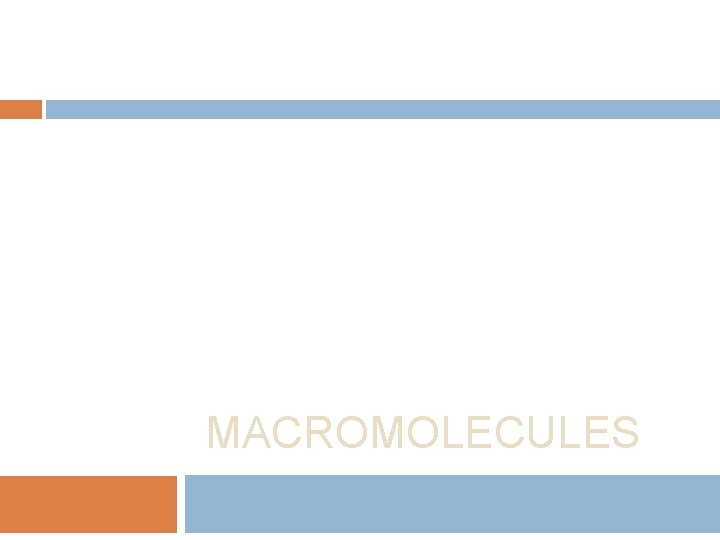 MACROMOLECULES 