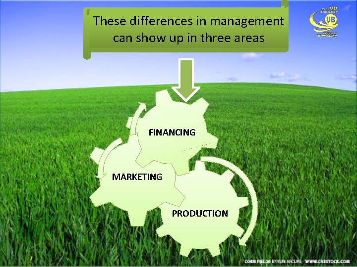 These differences in management can show up in three areas FINANCING MARKETING PRODUCTION 
