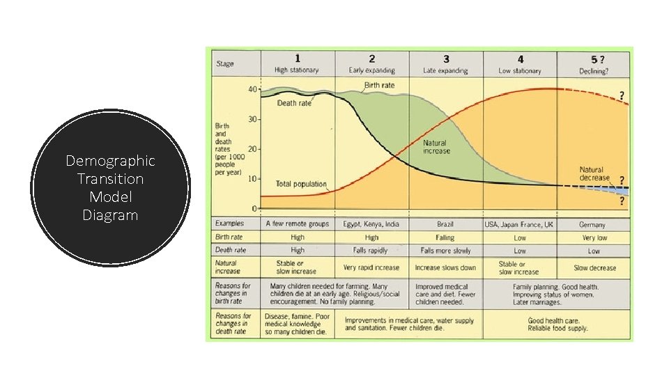 Demographic Transition Model Diagram 