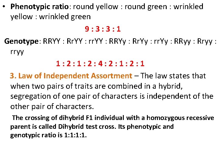  • Phenotypic ratio: round yellow : round green : wrinkled yellow : wrinkled