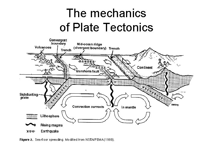 The mechanics of Plate Tectonics 