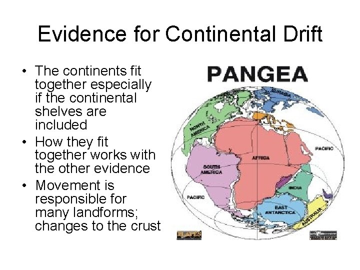 Evidence for Continental Drift • The continents fit together especially if the continental shelves