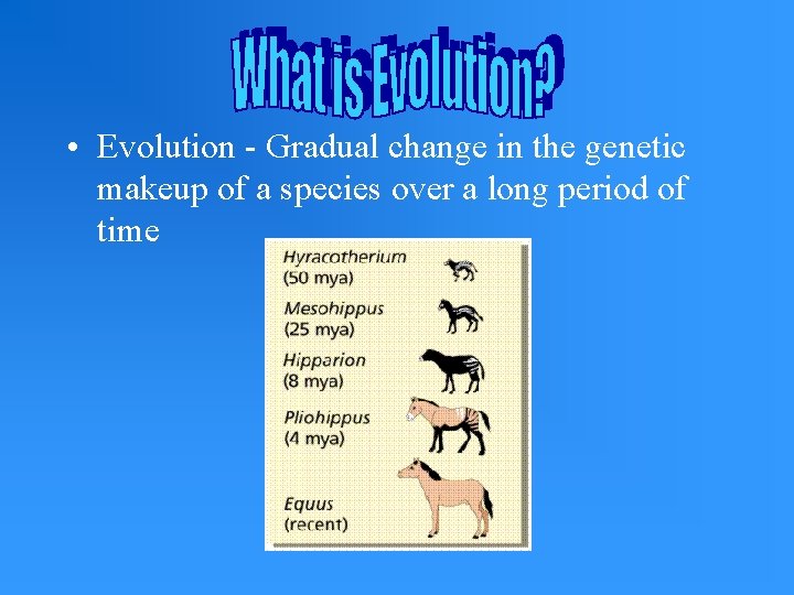  • Evolution - Gradual change in the genetic makeup of a species over
