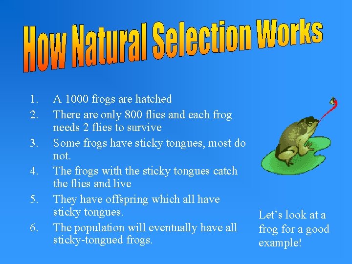 1. 2. 3. 4. 5. 6. A 1000 frogs are hatched There are only