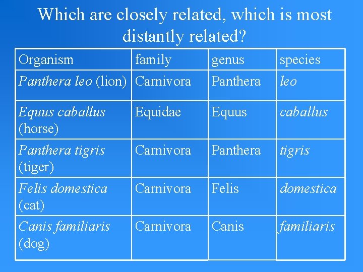 Which are closely related, which is most distantly related? Organism family genus species Panthera