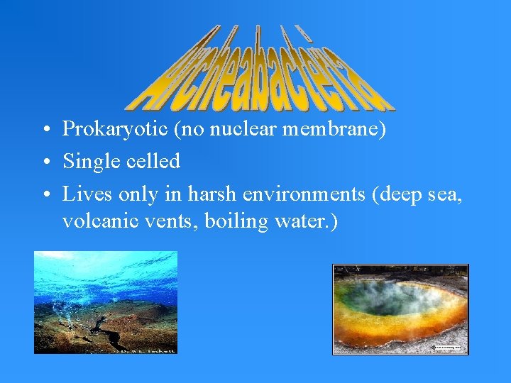  • Prokaryotic (no nuclear membrane) • Single celled • Lives only in harsh