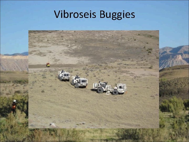 Vibroseis Buggies 