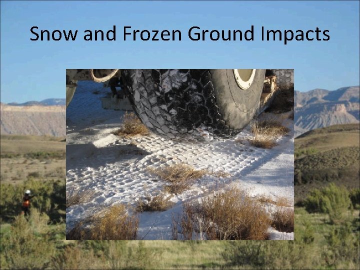 Snow and Frozen Ground Impacts 