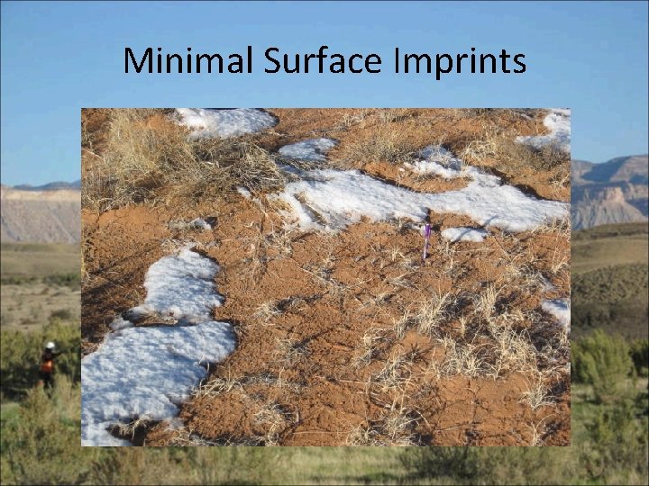 Minimal Surface Imprints 