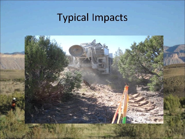 Typical Impacts 