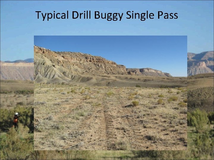 Typical Drill Buggy Single Pass 